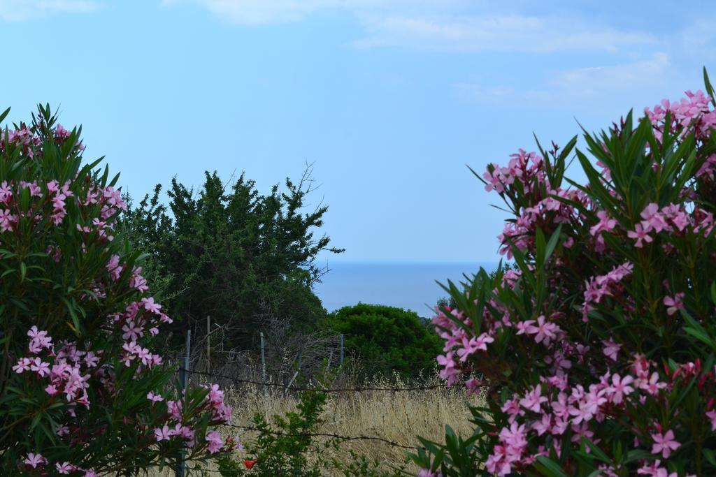 Agriturismo Paulesa Dorgali Zimmer foto