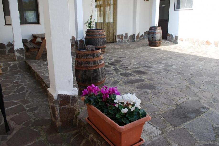 Agriturismo Paulesa Dorgali Exterior foto